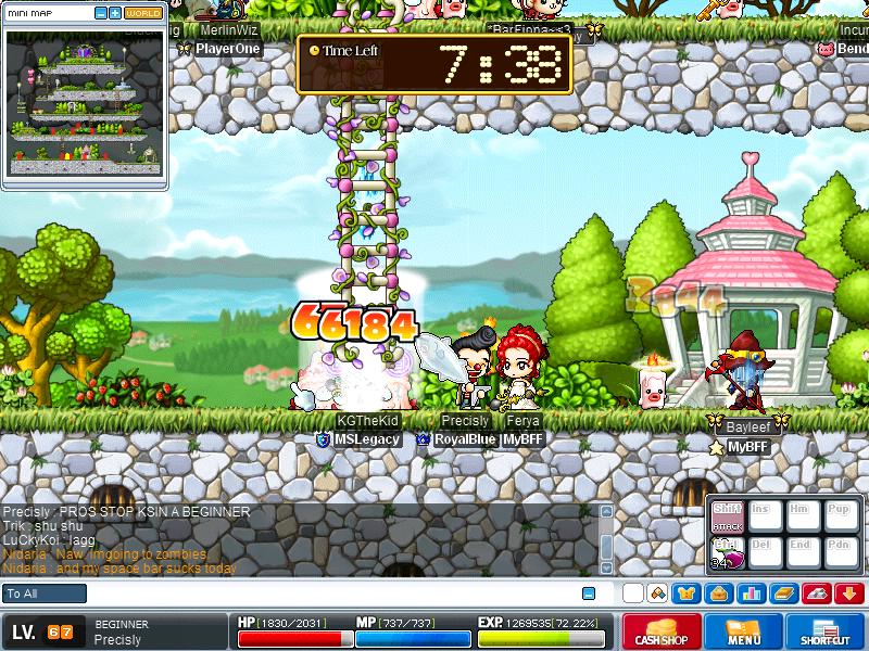 Maple0112